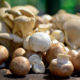 mushroom trendiest ingredient