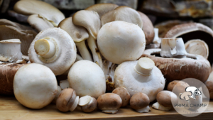 mushroom instead of meat